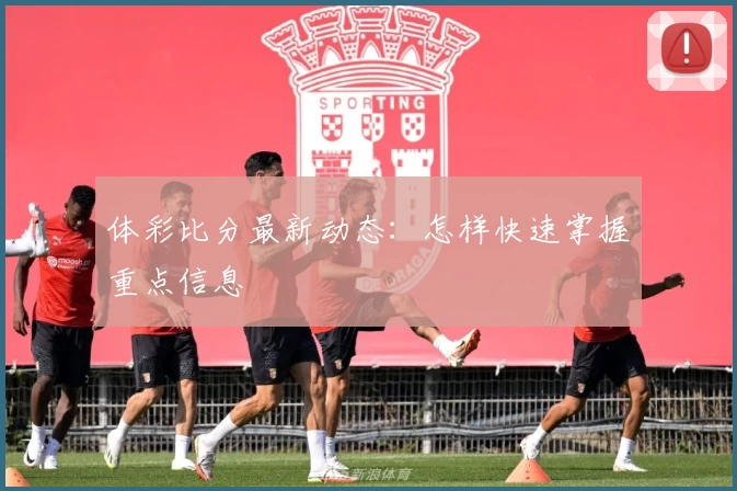 体彩比分最新动态：怎样快速掌握重点信息