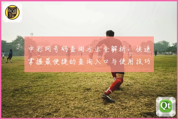 中彩网号码查询方法全解析，快速掌握最便捷的查询入口与使用技巧