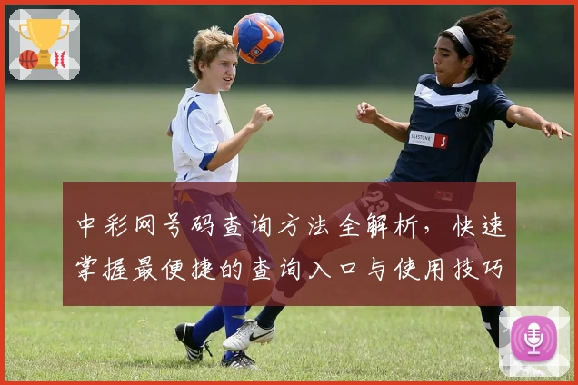 中彩网号码查询方法全解析，快速掌握最便捷的查询入口与使用技巧