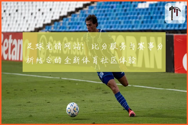 足球竞猜网站：比分服务与赛事分析结合的全新体育社区体验