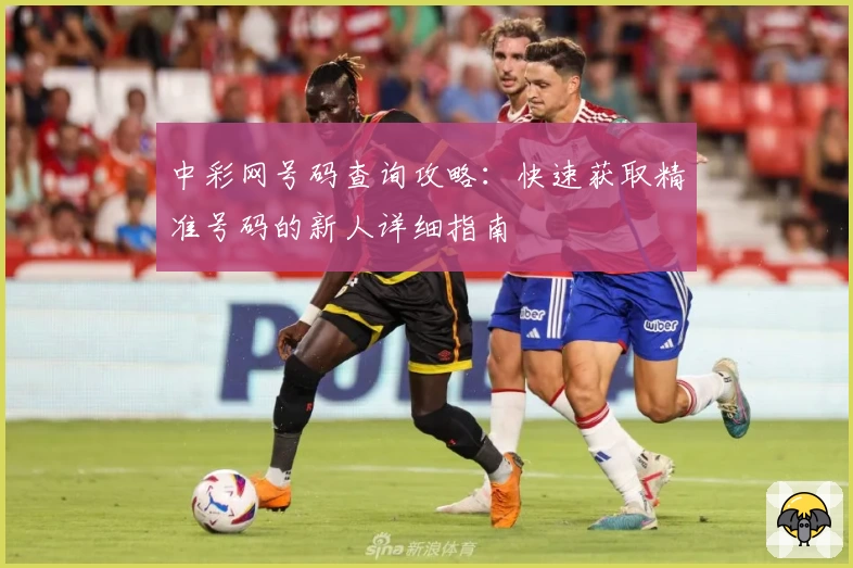 中彩网号码查询攻略：快速获取精准号码的新人详细指南