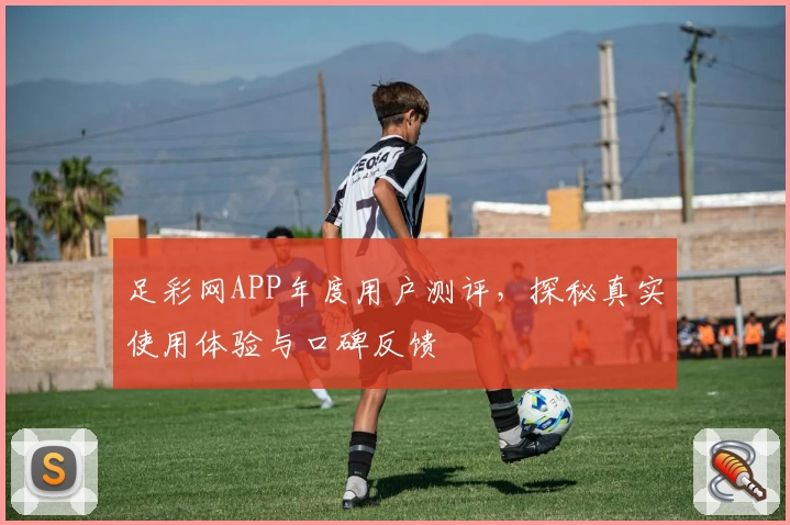 足彩网APP年度用户测评,探秘真实使用体验与口碑反馈