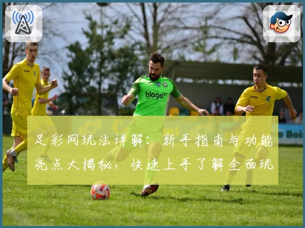 足彩网玩法详解：新手指南与功能亮点大揭秘，快速上手了解全面玩法