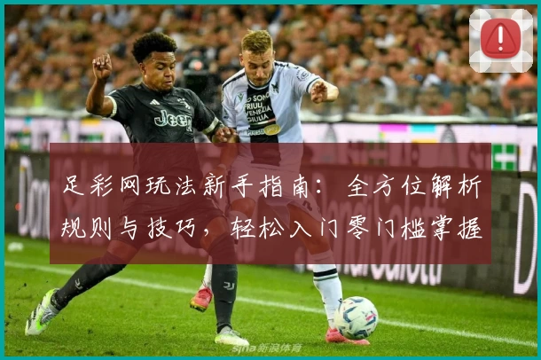 足彩网玩法新手指南：全方位解析规则与技巧，轻松入门零门槛掌握核心要点