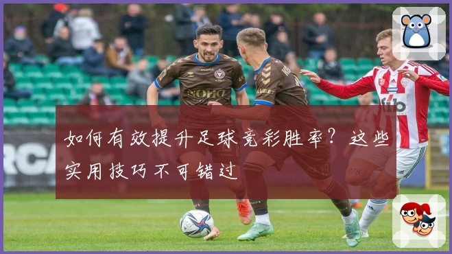 如何有效提升足球竞彩胜率？这些实用技巧不可错过
