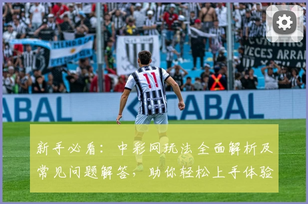 新手必看：中彩网玩法全面解析及常见问题解答，助你轻松上手体验